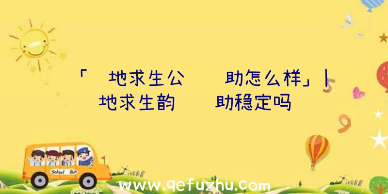 「绝地求生公鸡辅助怎么样」|绝地求生韵达辅助稳定吗
